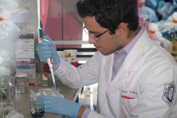 Estudiantes de ingeniería en biotecnología de la Facultad de Química de la UAQ diseñaron un biopolímero con base en subproductos de la agroindustria para la fabricación de bolsas de plástico degradables.