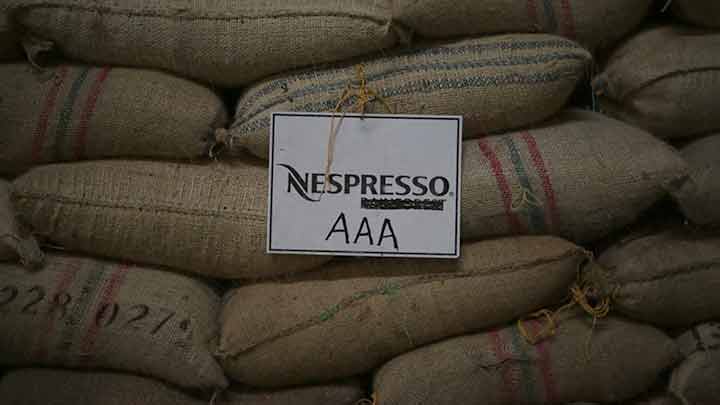 Humberto, Luis Miguel y Esteban; algunos de los agricultores detrás de los cafés de Nespresso