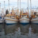 Insepcción y Vigilancia en altamar