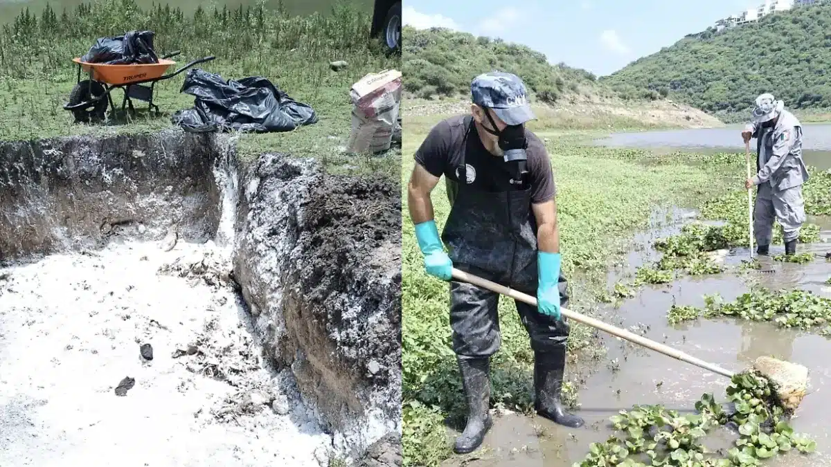 Concluye retiro de peces muertos en presa El Batán