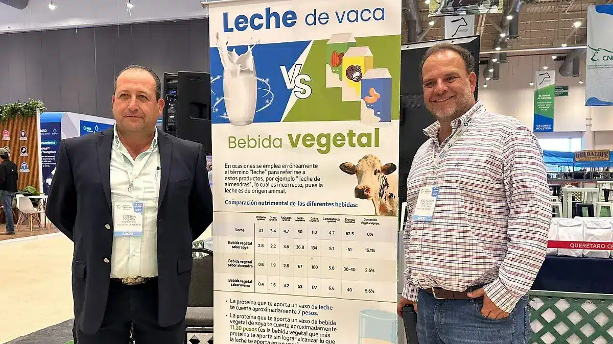 Industria lechera apuesta por la inteligencia artificial para mejorar la productividad