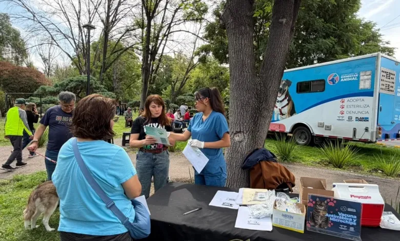 Secretaría de Bienestar Animal ha realizado más de 54 mil servicios gratuitos en la capital queretana